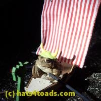 /home//u458753944/public_html/sourcegallery//////Roxborough Toad Detour/2013-2019/2018/2018-02-21/P2210057.JPG